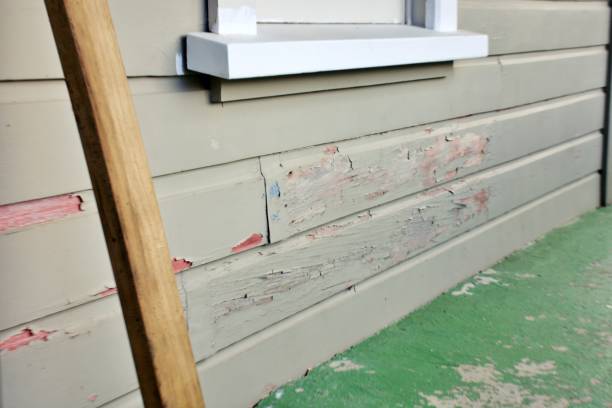 Best Fiber Cement Siding Installation  in USA